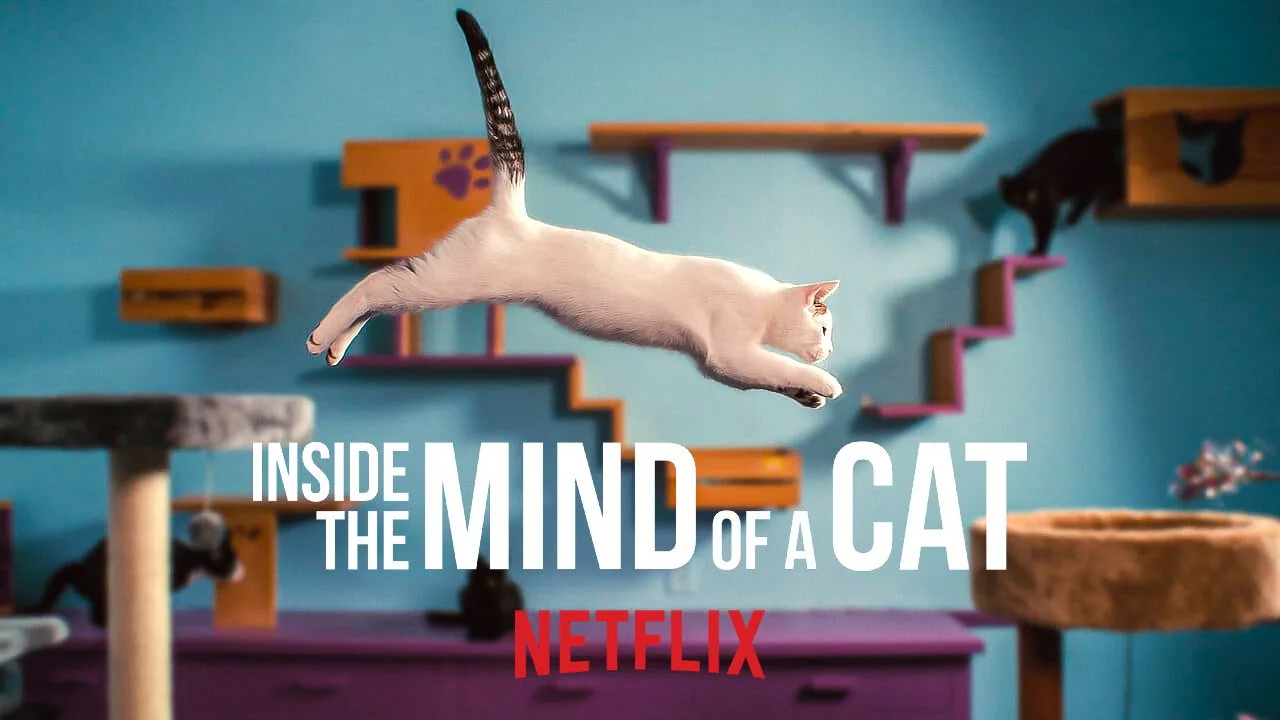 Inside the Mind of a Cat İndir - görsel 5