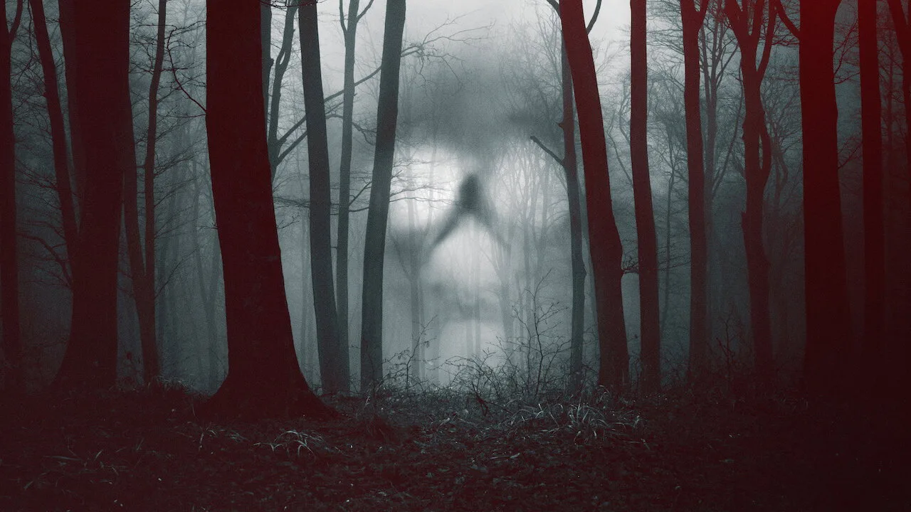 28 Days Haunted İndir - görsel 2