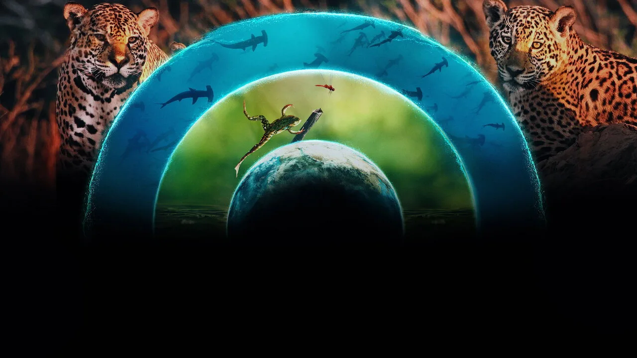 Hayat Dolu Dünyamız 1080p İndir - görsel 5