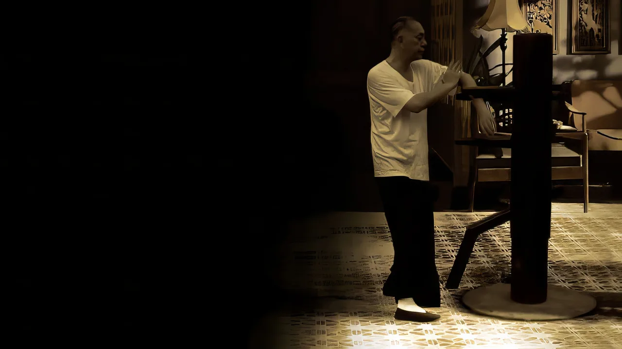 Ip Man: Son Dövüş İndir - görsel 2