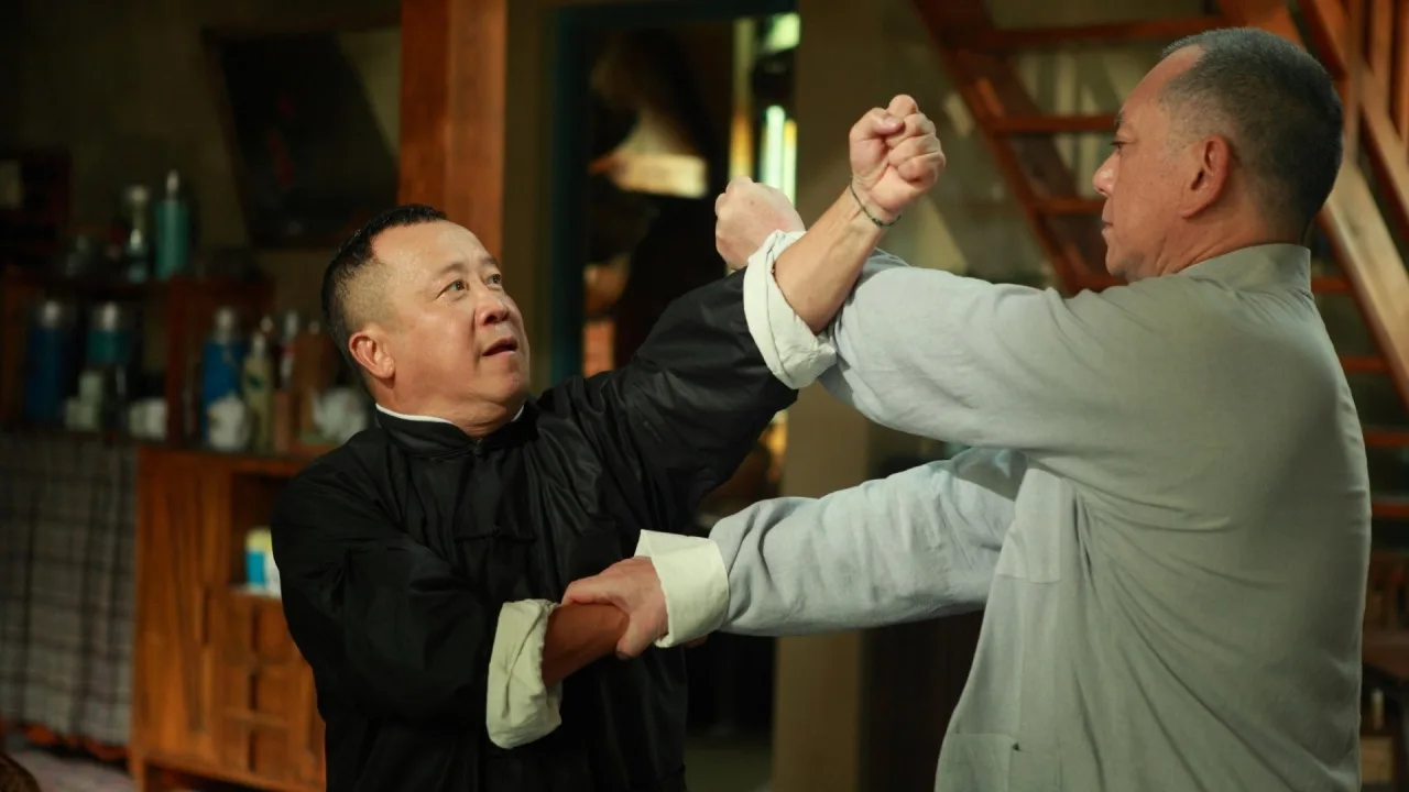 Ip Man: Son Dövüş İndir - görsel 4