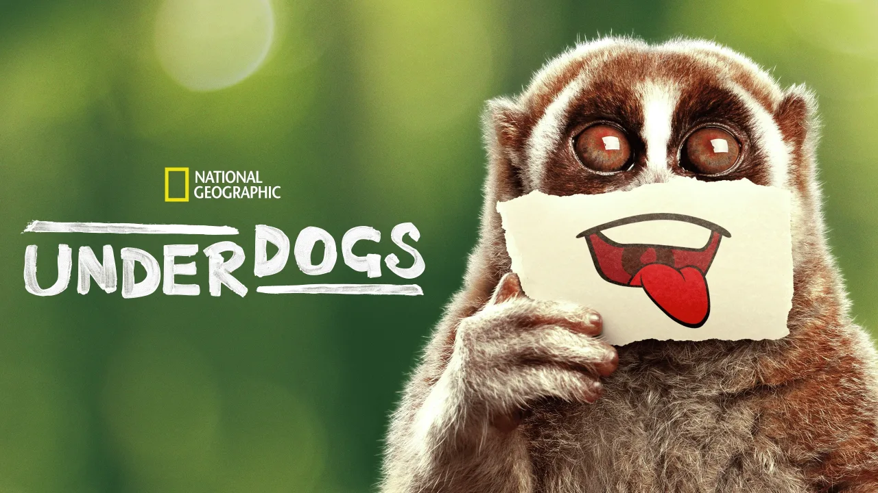 Underdogs 1080p İndir - görsel 7