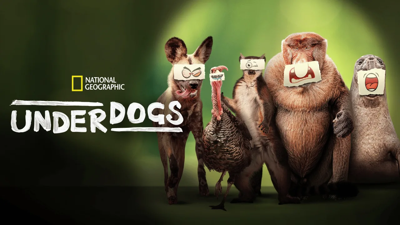 Underdogs 1080p İndir - görsel 8