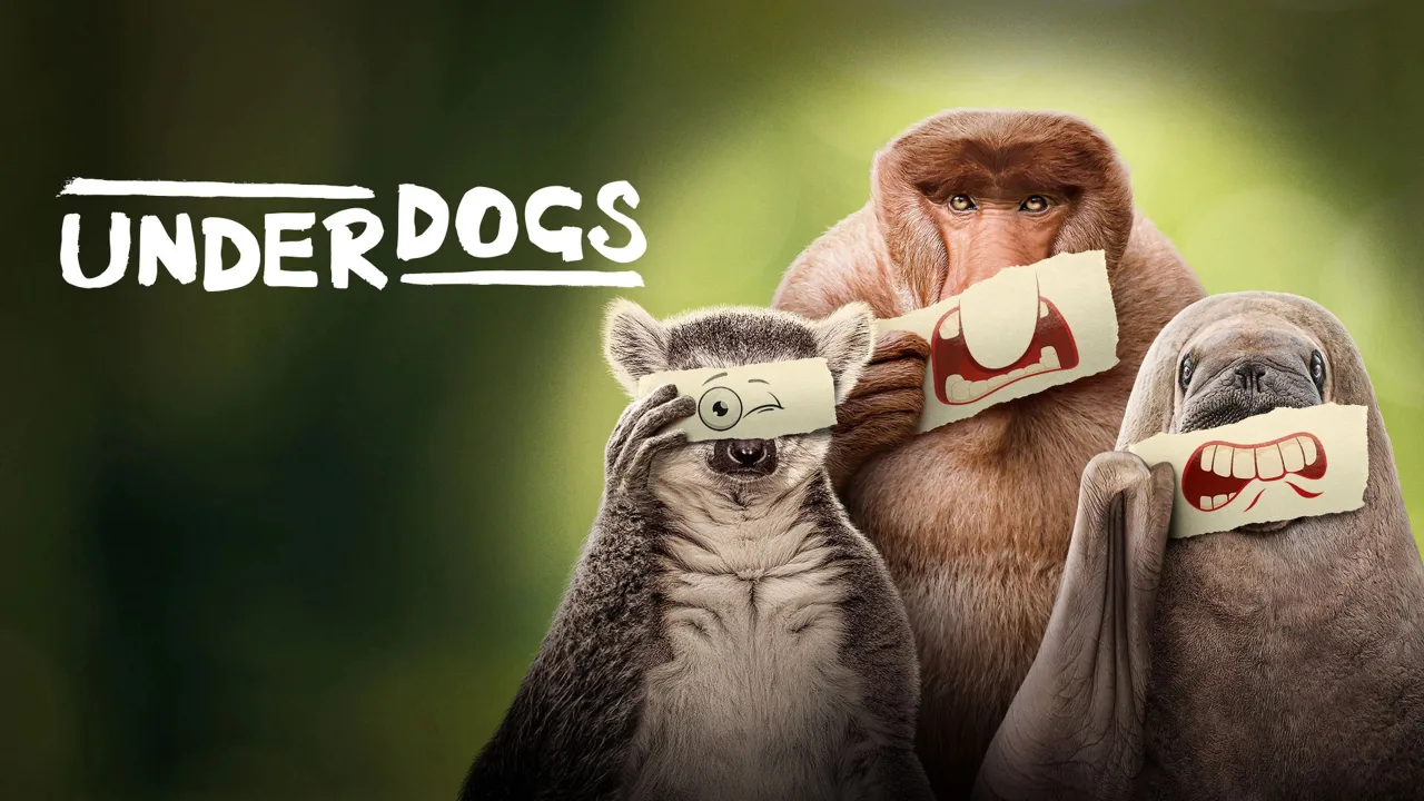 Underdogs 1080p İndir - görsel 9