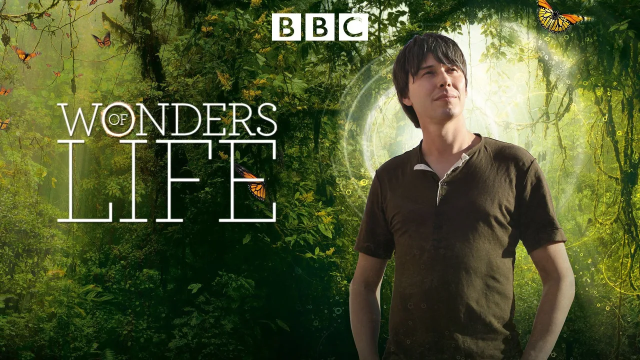 Wonders of Life 1080p Altyazılı İndir - görsel 7