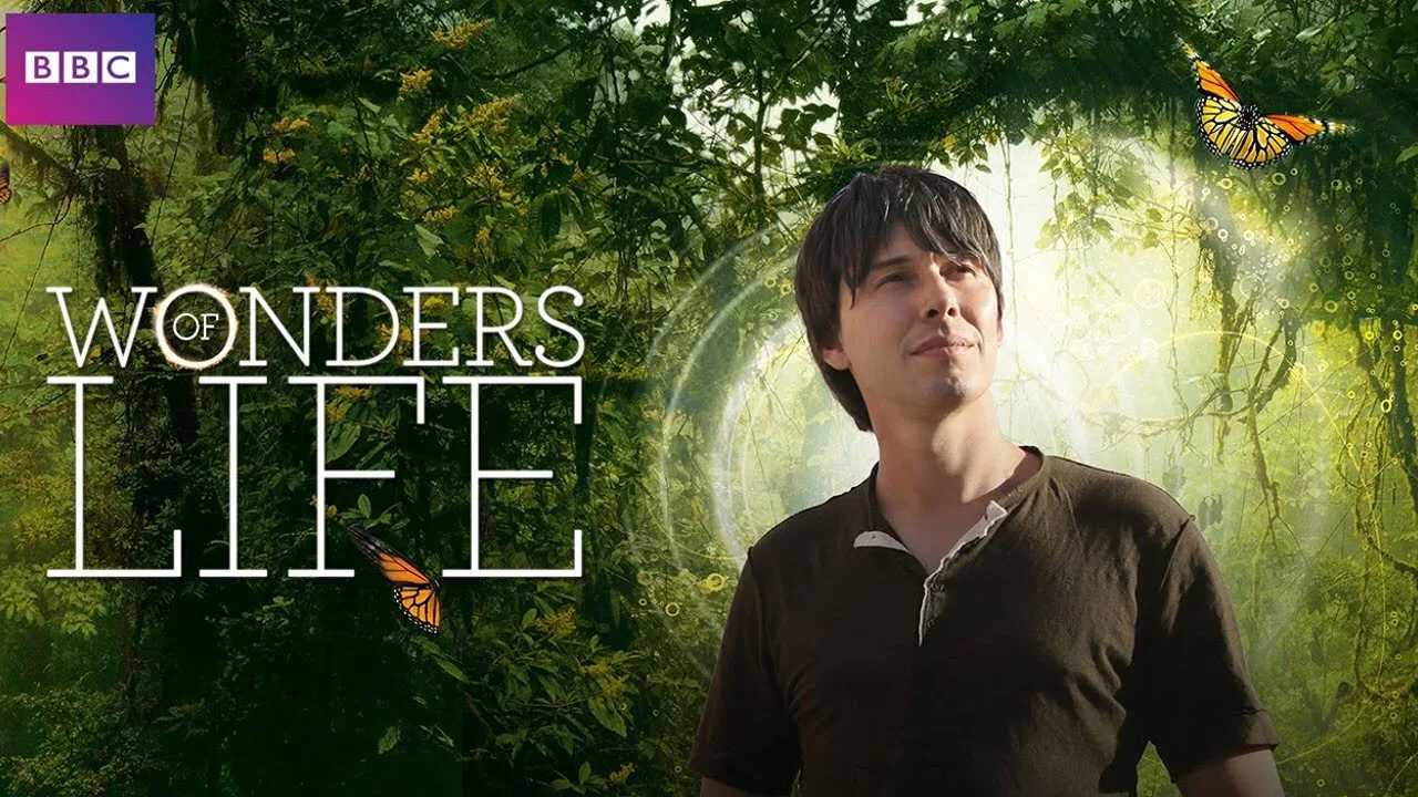 Wonders of Life 1080p Altyazılı İndir - görsel 8