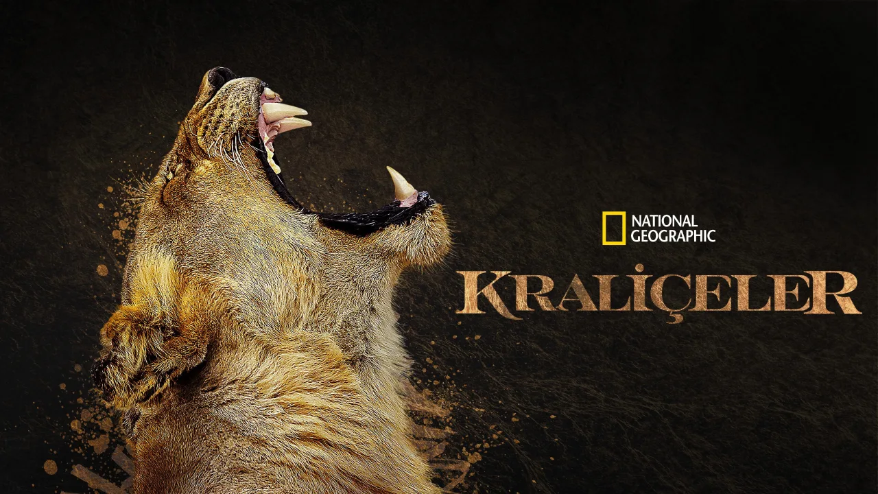 Kraliçeler 1080p İndir - görsel 10