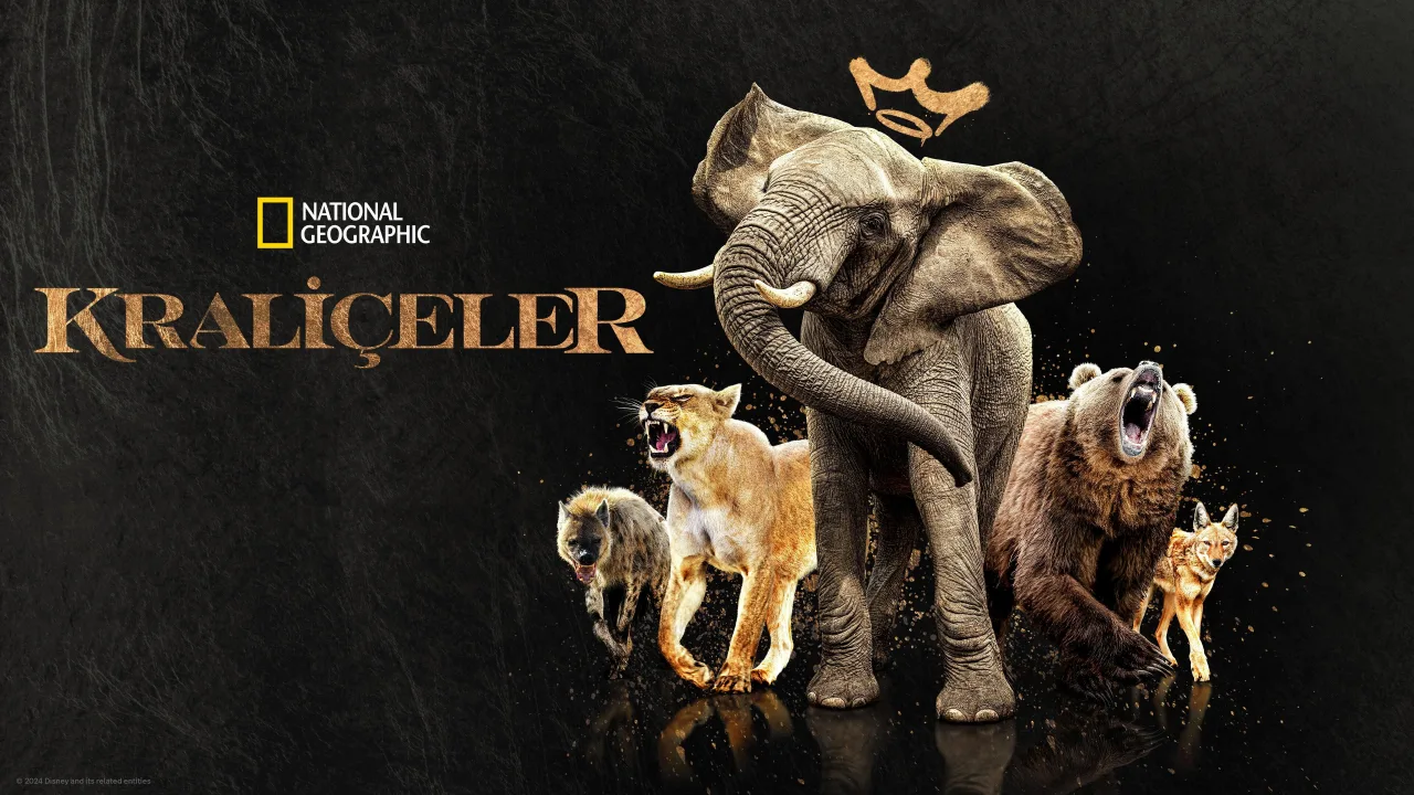 Kraliçeler 1080p İndir - görsel 9