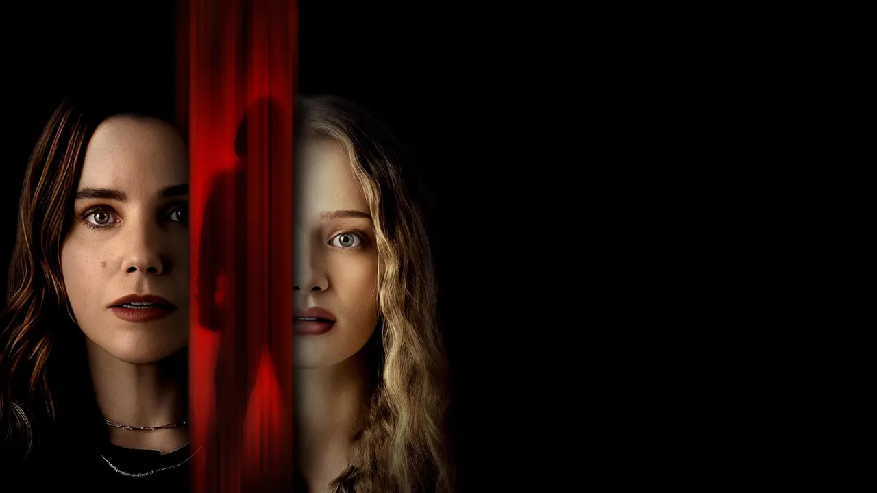The Stranger in My Home İndir - görsel 8