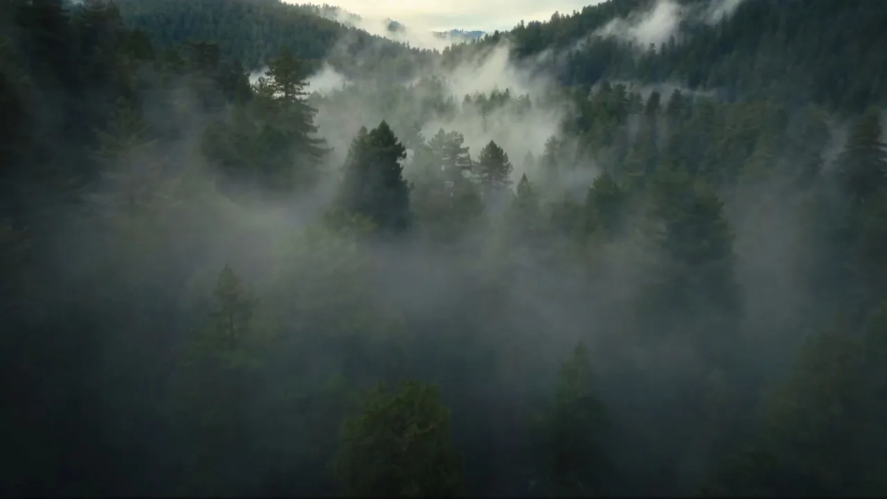 The Dinosaurs 1080p İndir - görsel 2