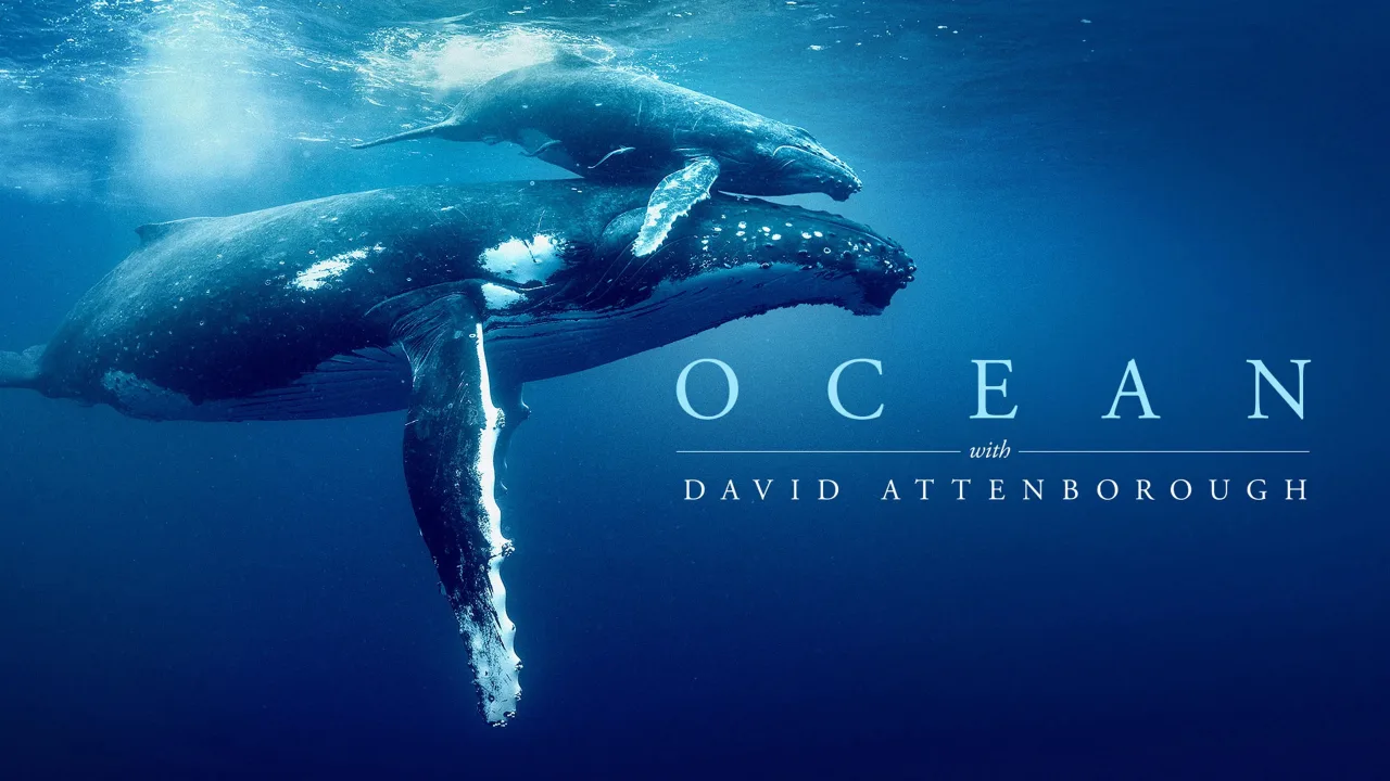David Attenborough ile Okyanuslar İndir - görsel 6