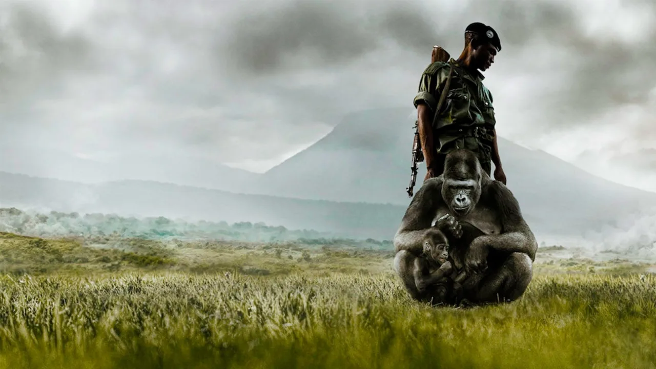 Virunga İndir - görsel 1
