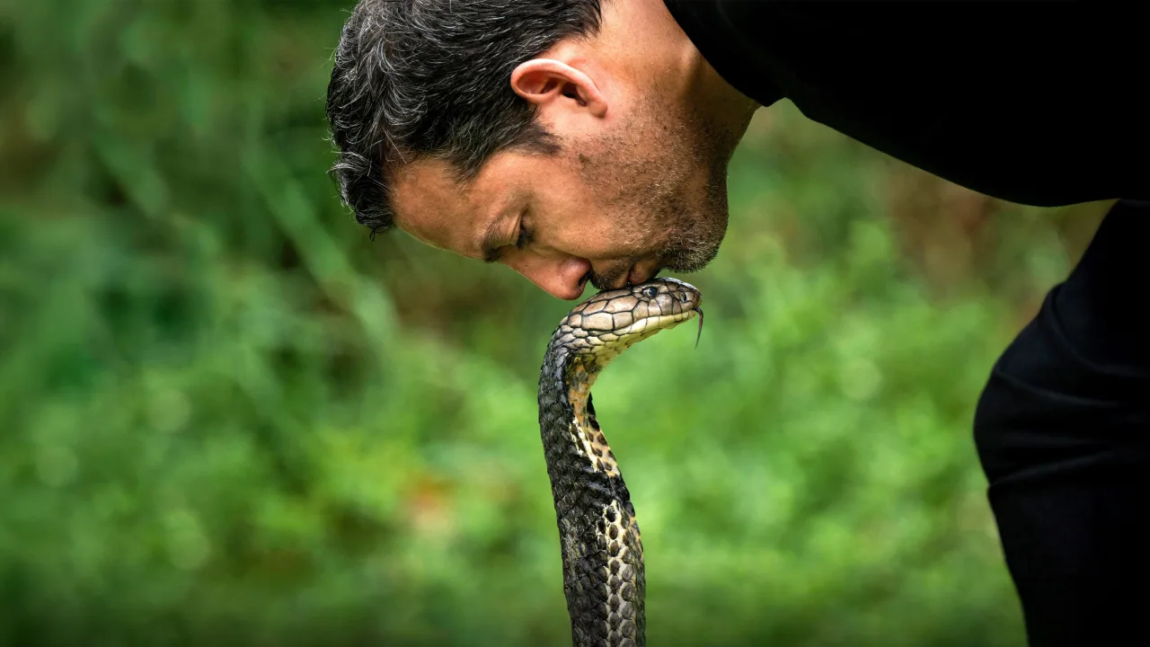 David Blaine Do Not Attempt 1080p İndir - görsel 3