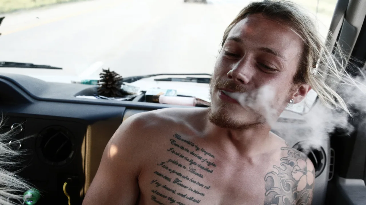 American Honey İndir - görsel 10
