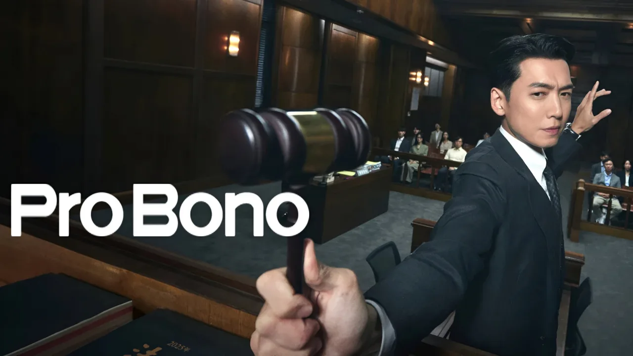 Pro Bono 1080p İndir - görsel 9