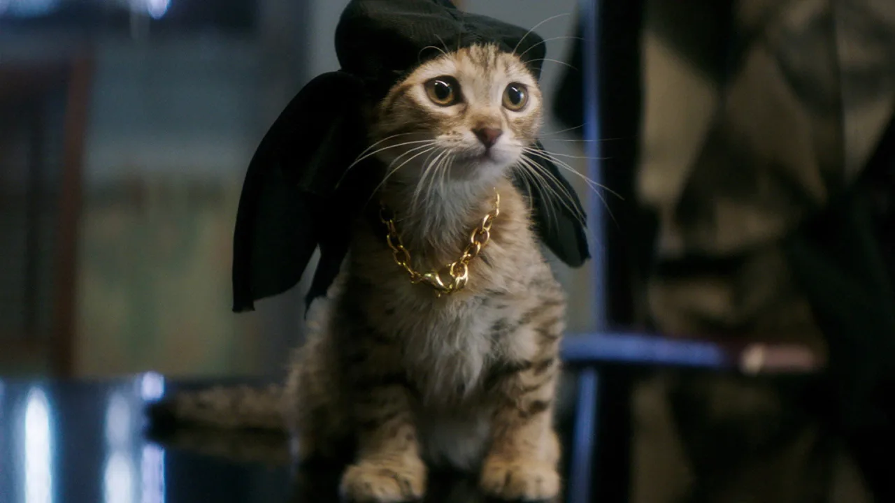 Keanu İndir - görsel 9