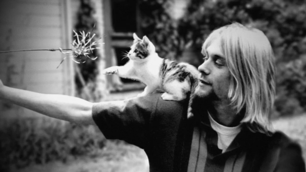 Cobain: Montage of Heck - görsel 7