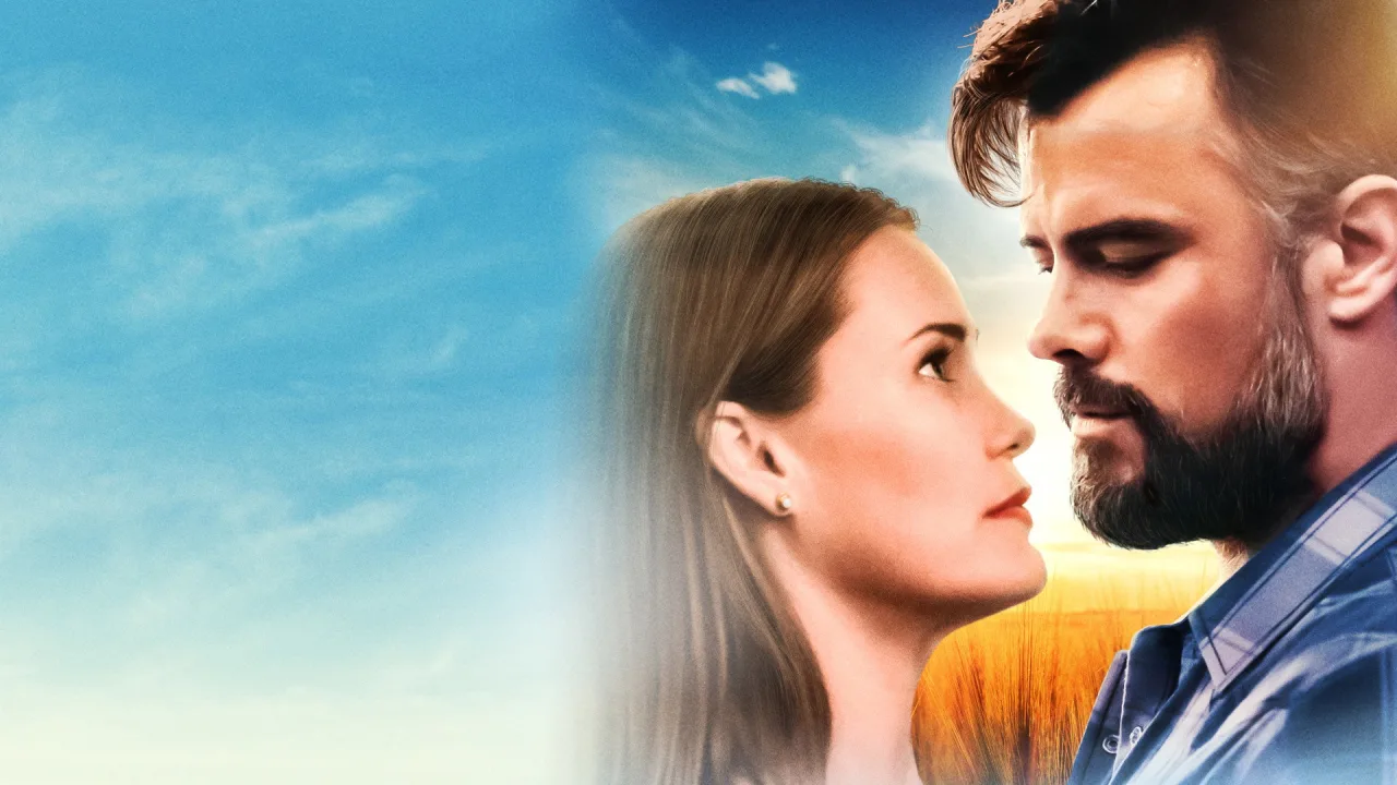 The Lost Husband İndir - görsel 3