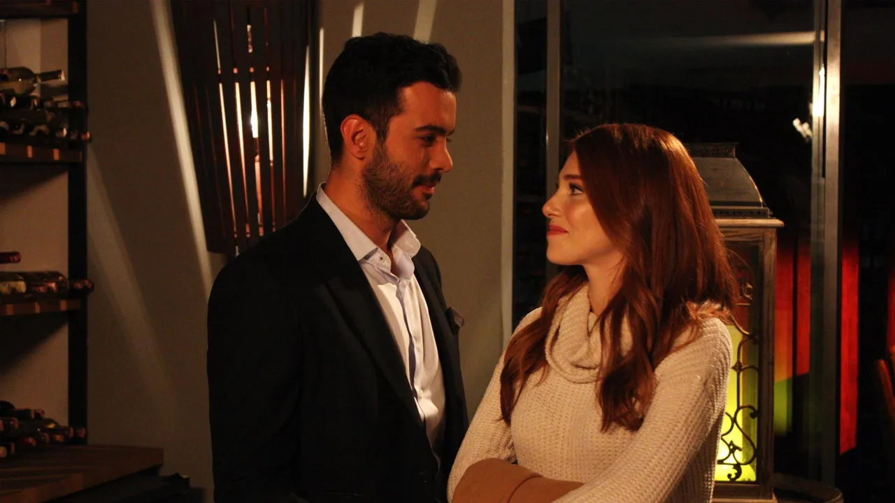 Kiralık Aşk 1080p İndir - görsel 3