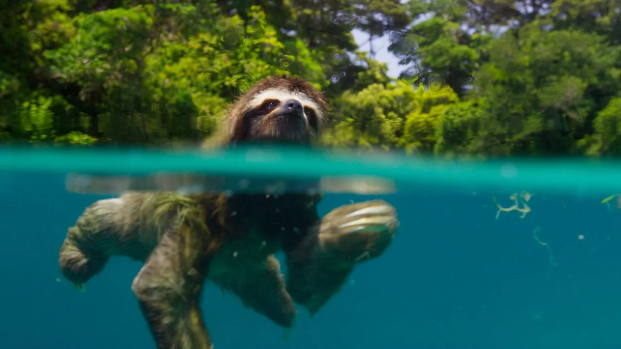 Planet Earth II İndir - görsel 8