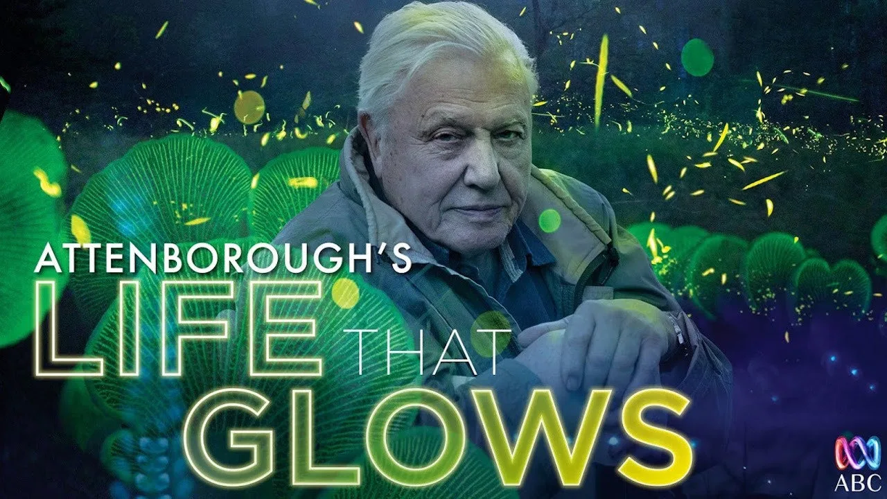 Attenborough's Life That Glows - görsel 3