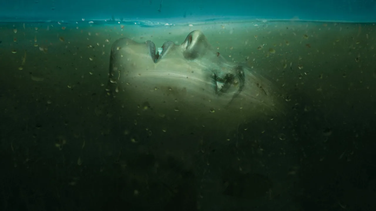 Absentia 1080p İndir - görsel 8