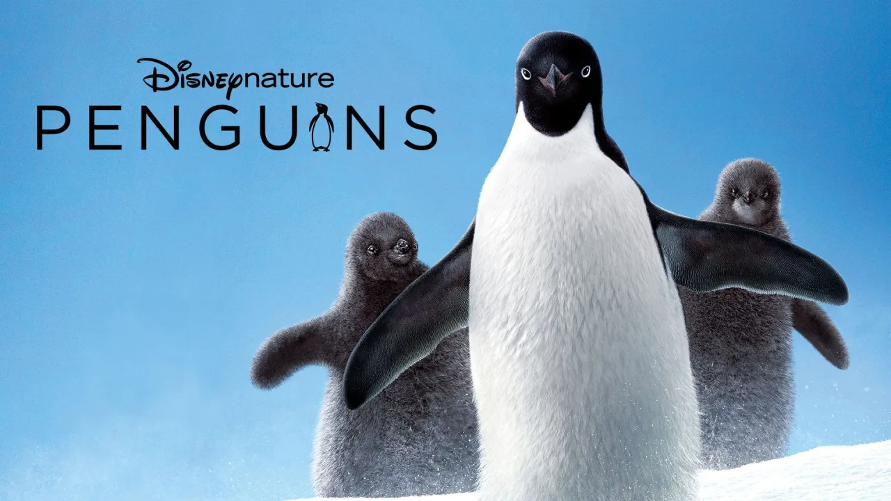 Penguenler İndir - görsel 9