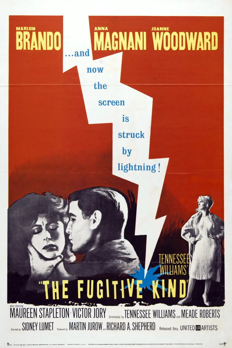 The Fugitive Kind İndir - görsel 11