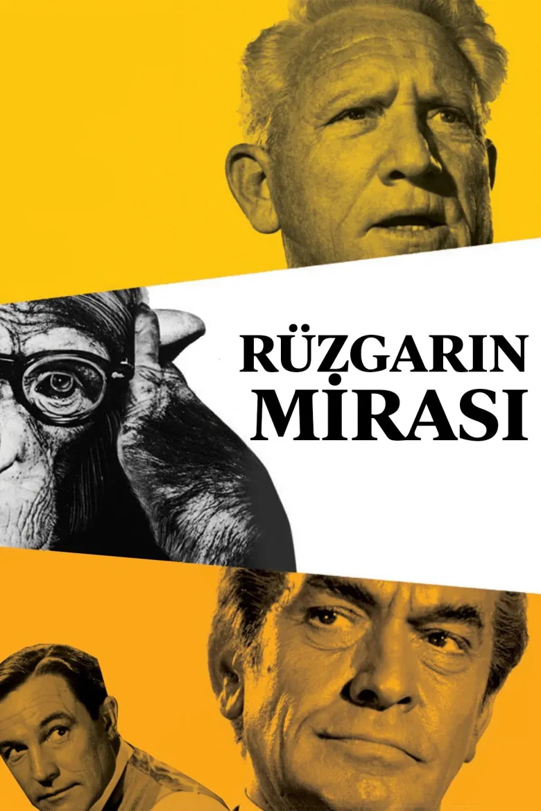 Rüzgarın Mirası İndir - görsel 11