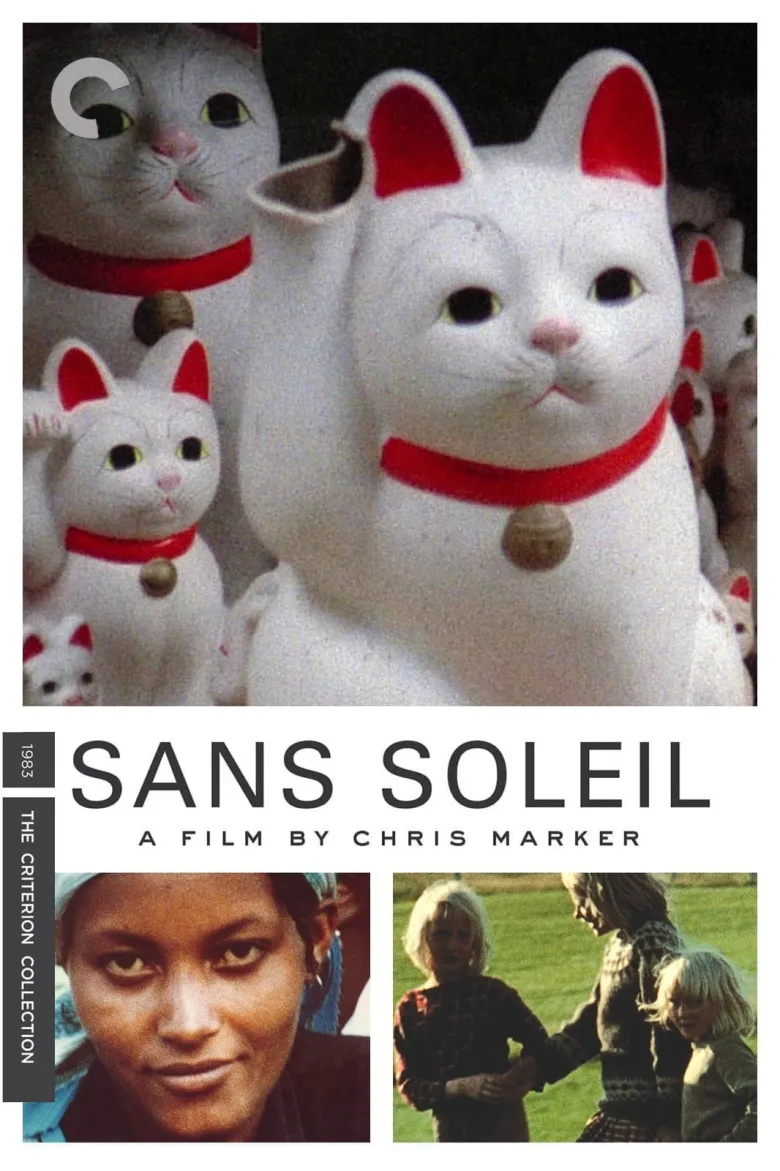 Güneşsiz - görsel 13