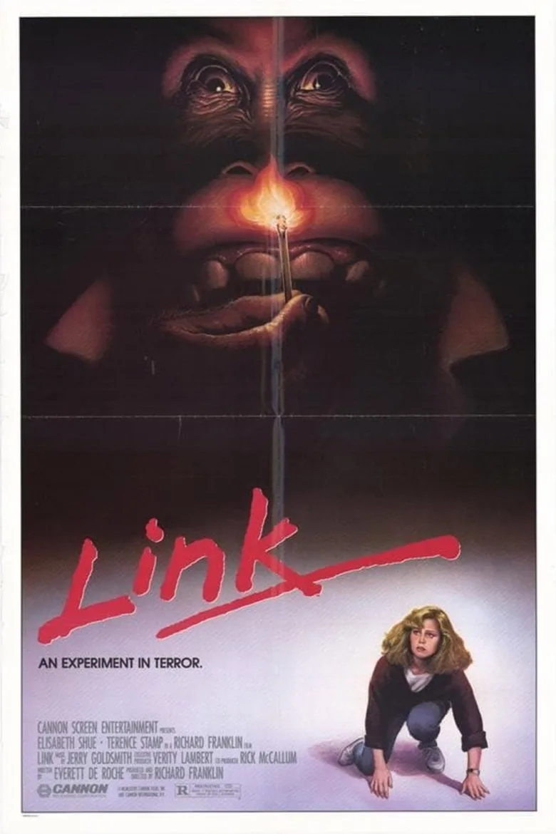 Link İndir - görsel 12