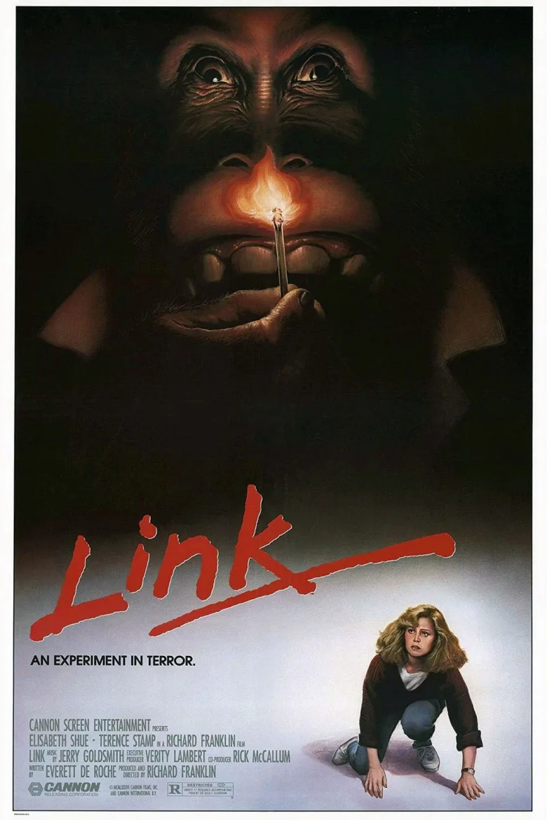 Link İndir - görsel 13