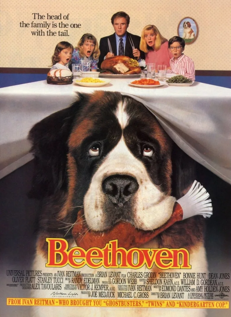 Afacan Köpek Beethoven İndir - görsel 14