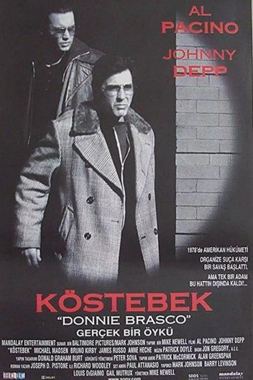 Köstebek İndir - görsel 13