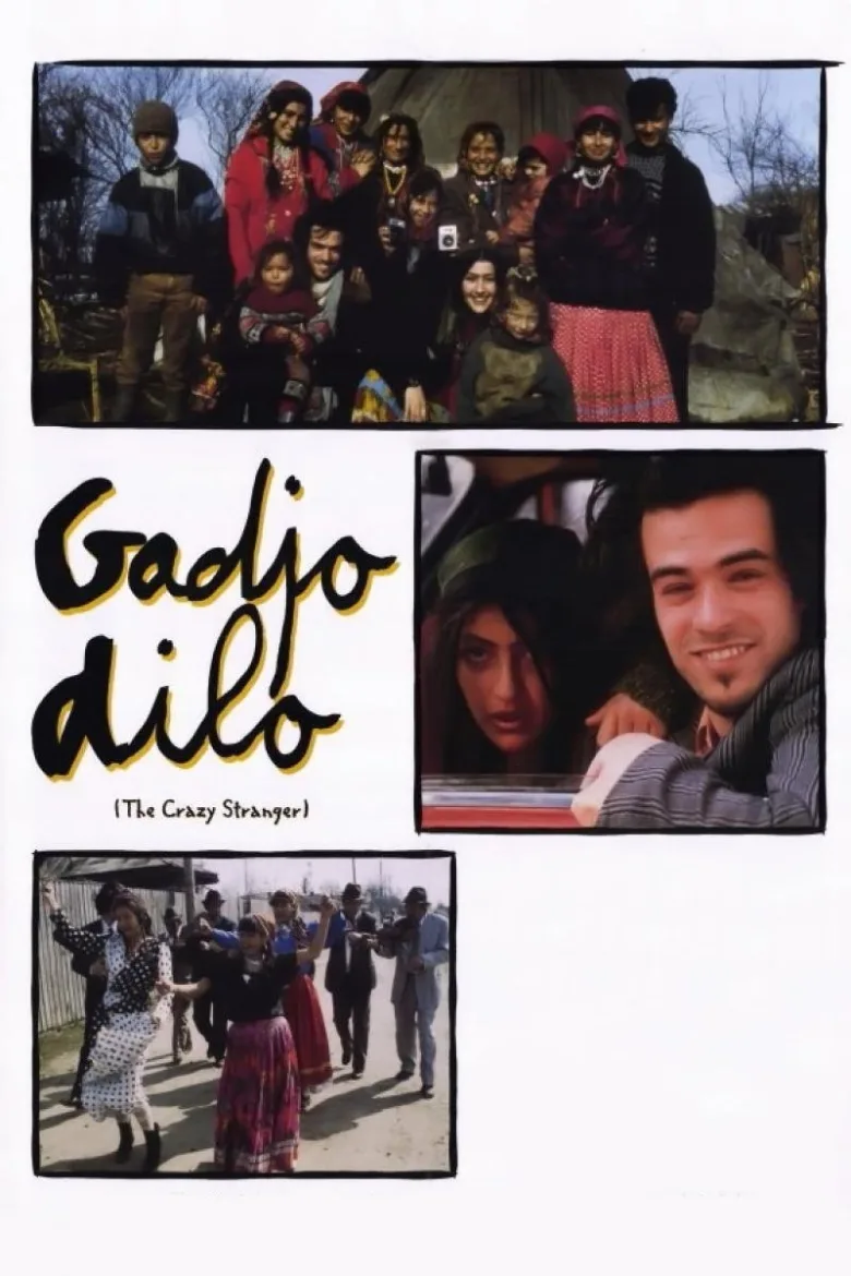 Çılgın Yabancı İndir - görsel 3