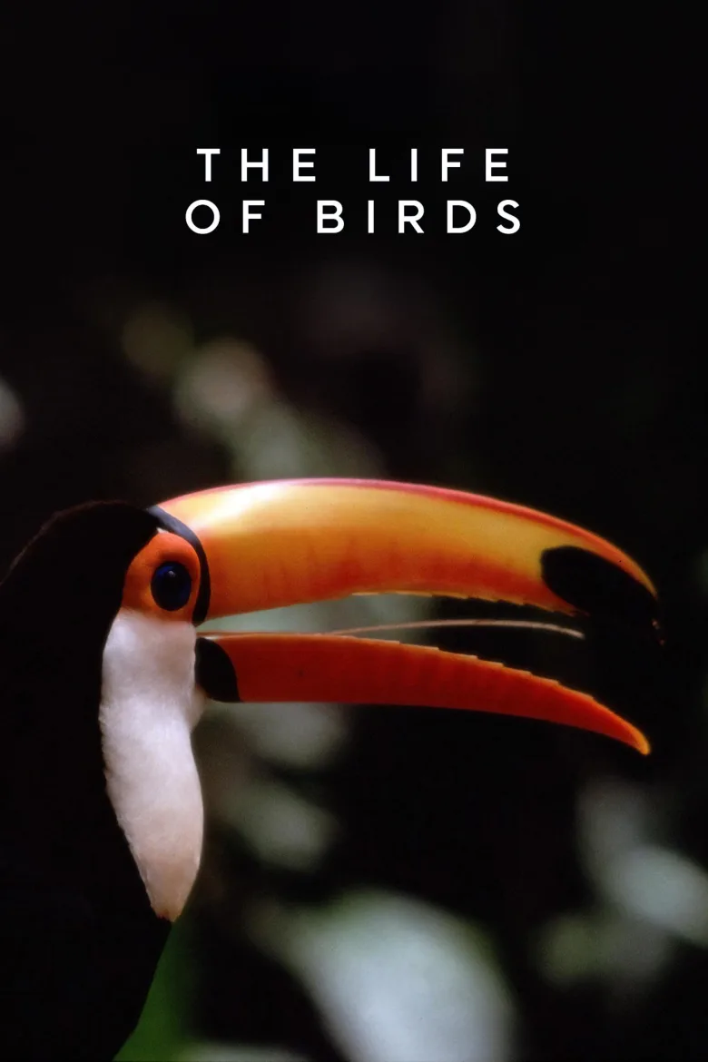 The Life of Birds İndir - görsel 3