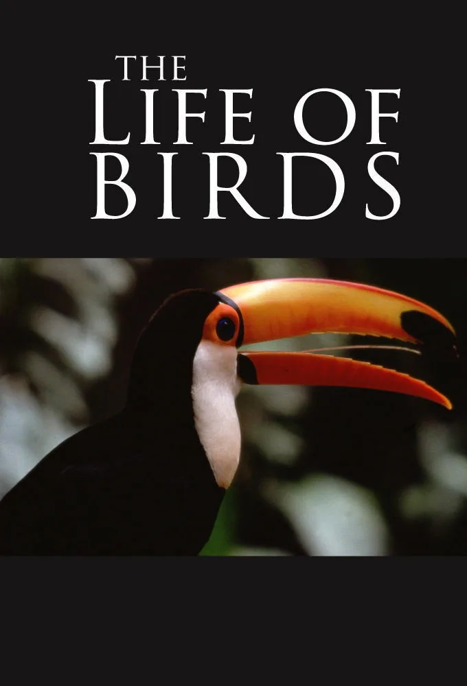 The Life of Birds İndir - görsel 4