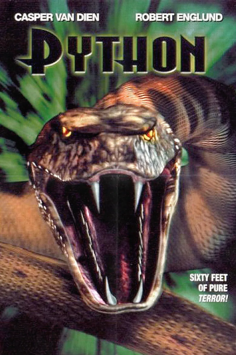 Python İndir - görsel 4