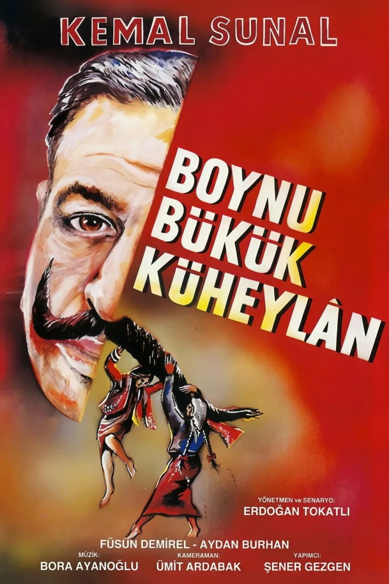 Boynu Bükük Küheylan - görsel 4