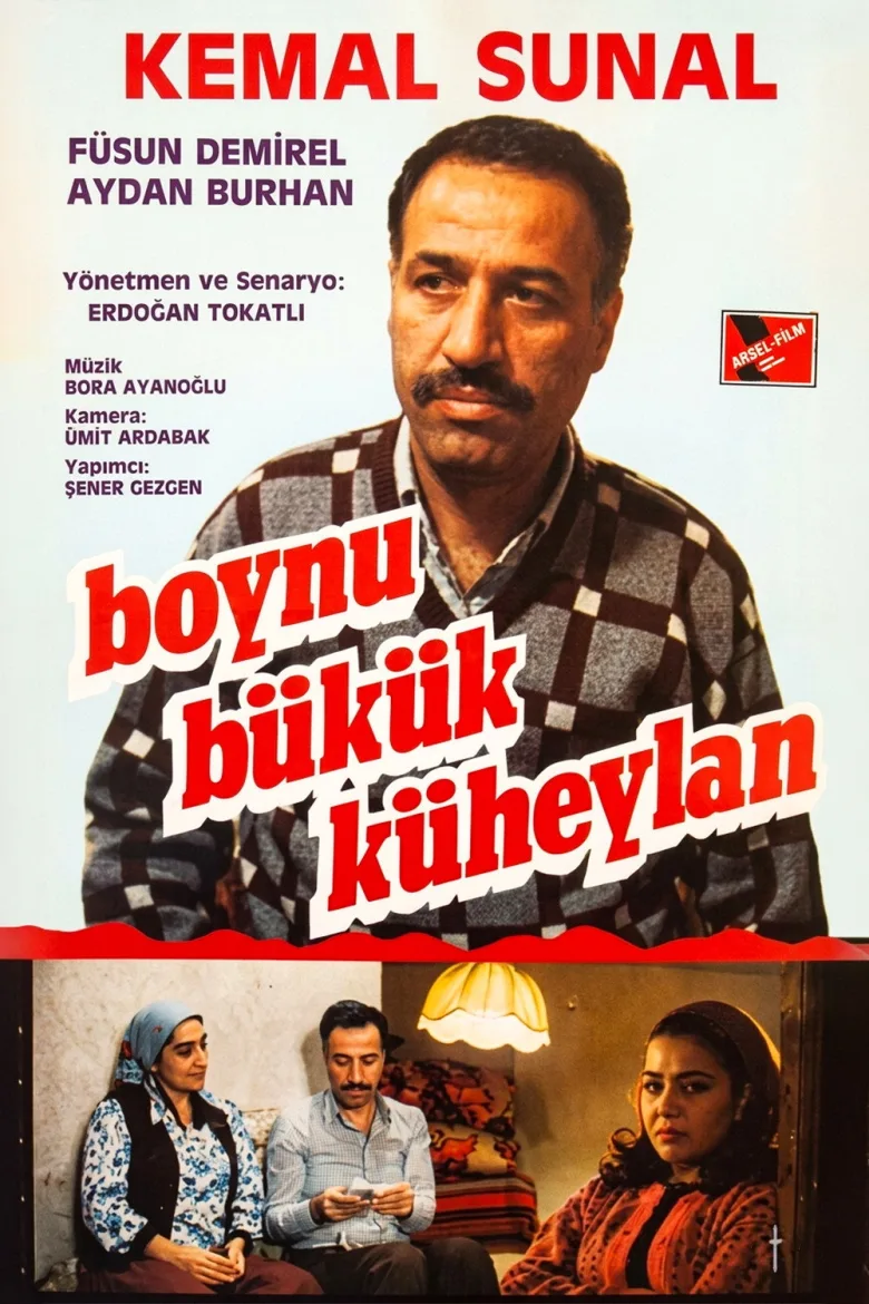 Boynu Bükük Küheylan - görsel 5