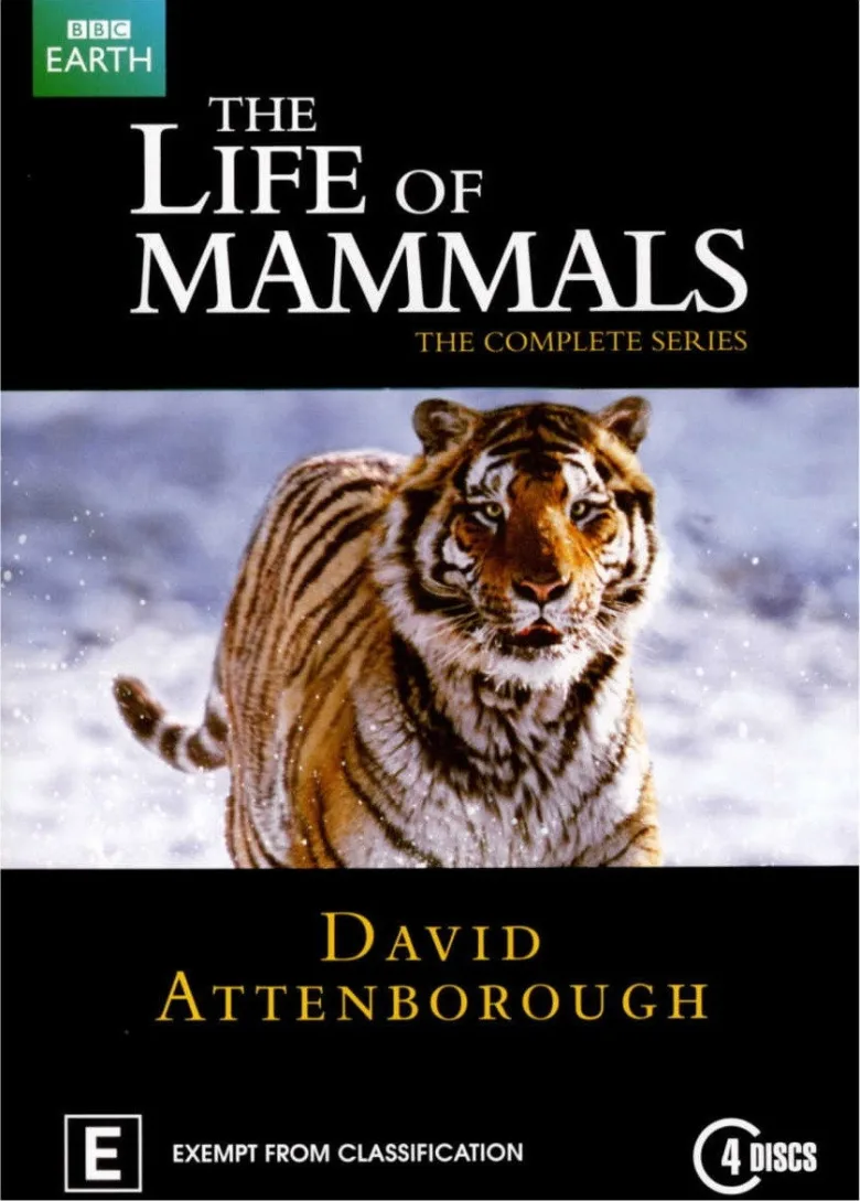 The Life of Mammals 720p Altyazılı İndir - görsel 6
