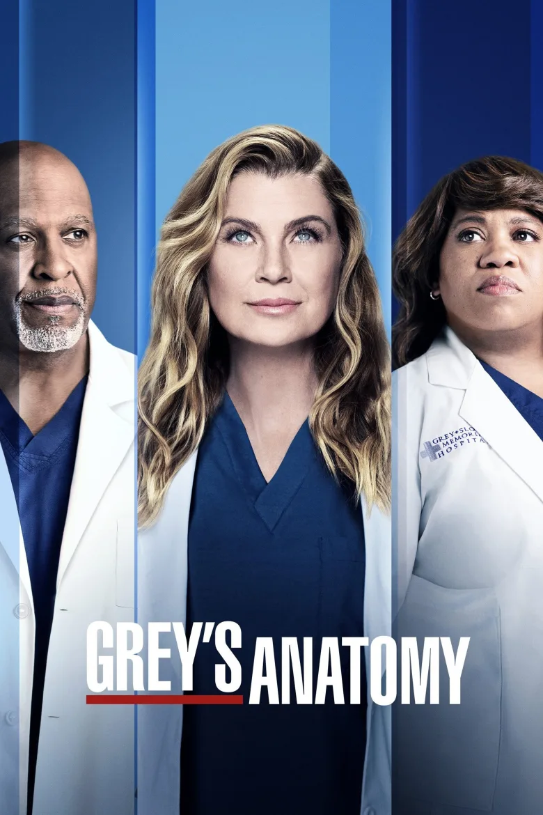 Grey's Anatomy İndir - görsel 14