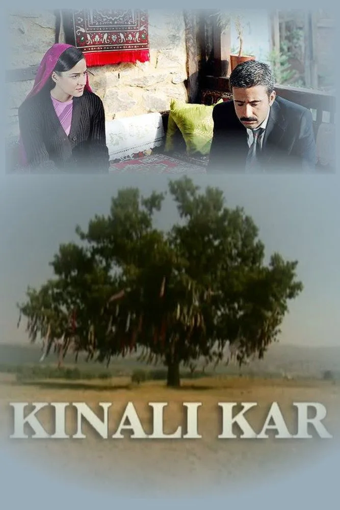 Kınalı Kar İndir - görsel 2