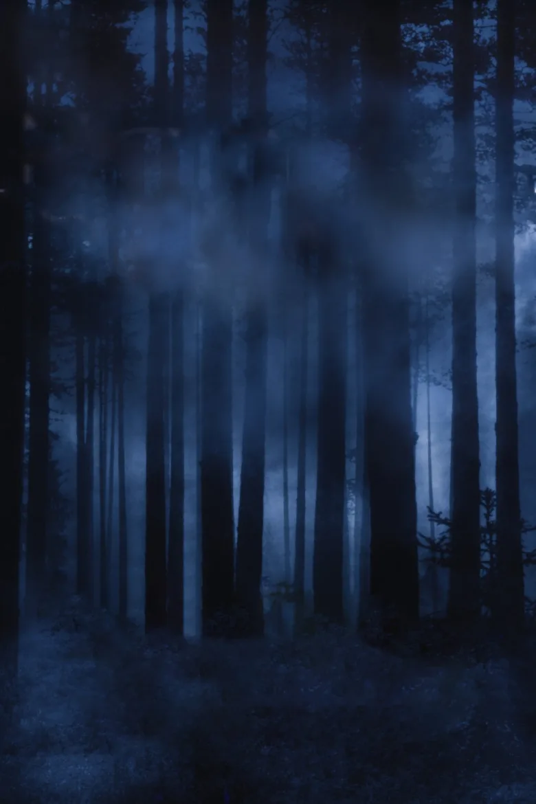 Nightmares & Dreamscapes: From the Stories of Stephen King 1080p İndir - görsel 5