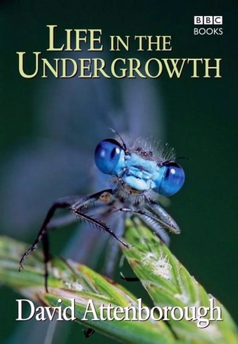 Life in the Undergrowth İndir - görsel 8