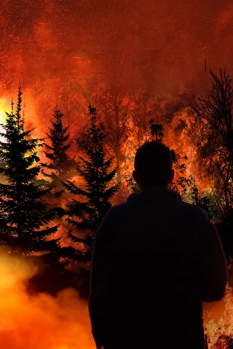 Witness to Disaster 1080p İndir - görsel 8