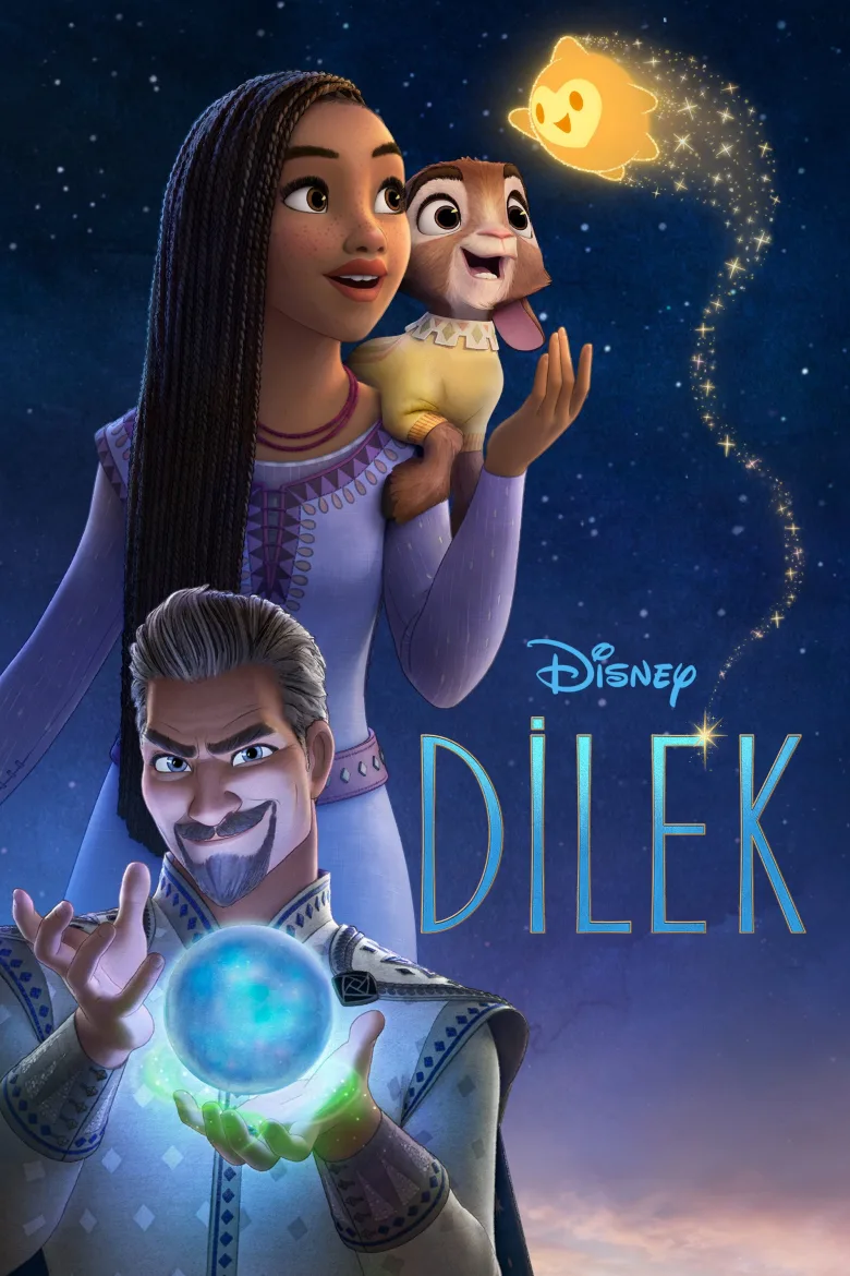 Dilek İndir - görsel 11
