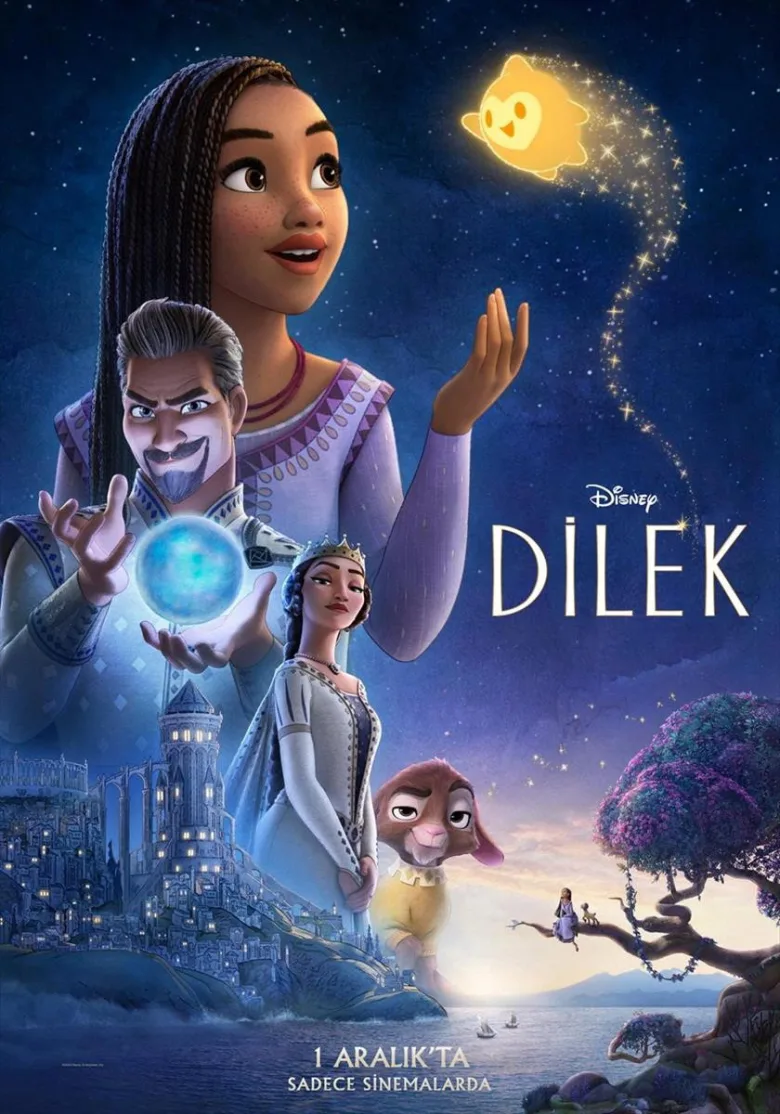 Dilek İndir - görsel 13