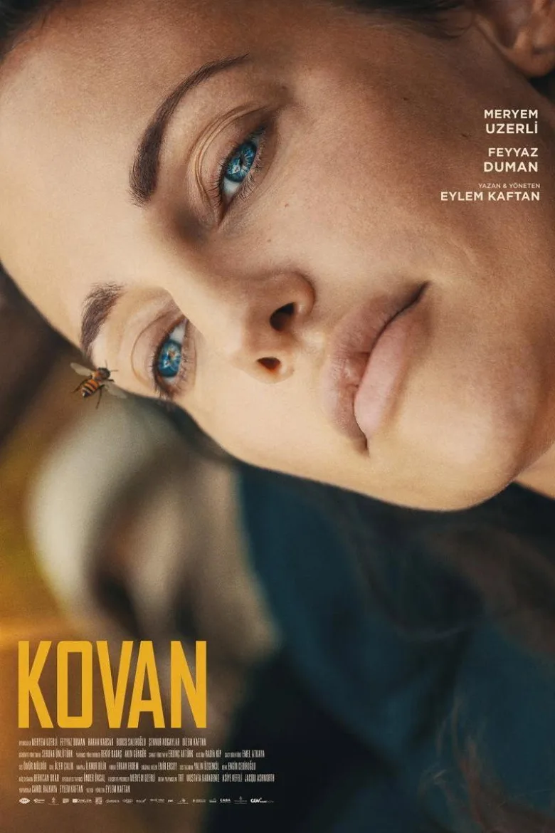 Kovan İndir - görsel 5