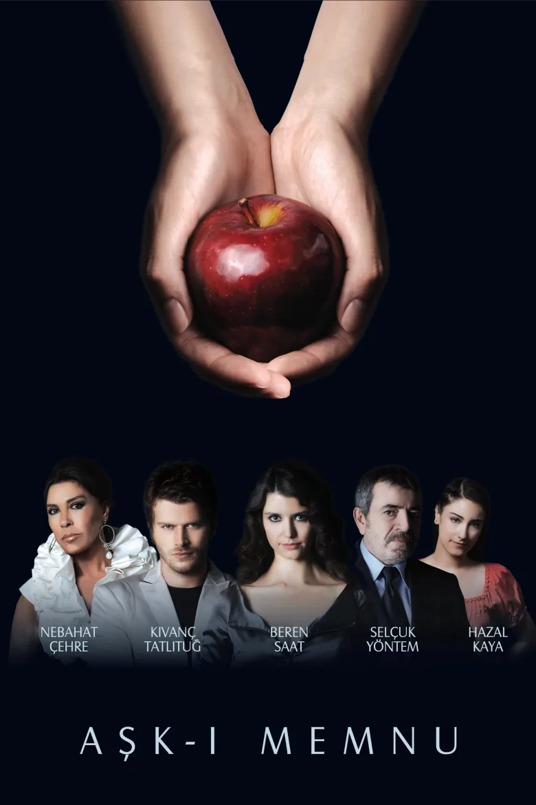 Aşk-ı Memnu - görsel 8